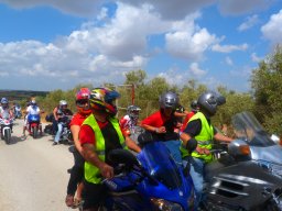 XIX Concentracion - 2012